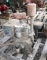 Briggs and Stratton Gas Engine