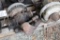 Maytag 2 Cylinder Kick Start Engine, Missing Exhaust
