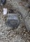 Briggs and Stratton WMB Kick Start Gas Engine, Appears Complete