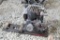 Briggs and Stratton Model WM Kick Start Gas Engine