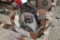 Briggs and Stratton Kick Start Gas Engine, May Be Missing Parts