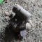 Briggs and Stratton Model WMB Kick Start Gas Engine