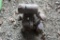 Briggs and Stratton Gas Engine