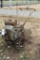 Power Walk Behind Tiller, Steel Wheels, Briggs and Stratton Engine, Needs Repair