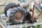 Parts to a David Bradley Walk Behind Tractor, Rear End of Garden Tractor 