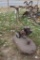 Early Walk Behind Mower, Turtle Head front, Briggs and Stratton Engine