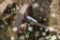 Steel Wheeled Engine Truck Axles