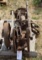Cistern Pump with Pump Jack