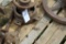 Crank Shaft, Parts to Engine Clutch