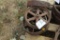 (4) Assorted Steel Wheels, Approx 10