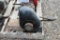 Montgomery Model E2 Kick Start Gas Engine, Stuck