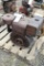 Briggs Model 14 Gas Engine