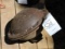 Original Cast Iron Muffler
