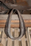 Horse collar and rope