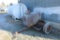 APPROX 120 GALLON PICKUP FUEL TANK, 12 VOLT FILL RITE PUMP ON TWO WHEEL TRAILER, NO TITLE