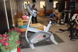 Star Trac Pro Upright Bike