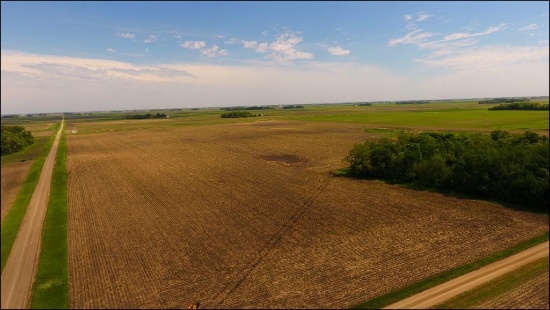 91.08 ACRES LOCATED IN MARTINSBURG TWP, SECTION 22, RENVILLE CO. (NORTH OF BUILDING SITE)