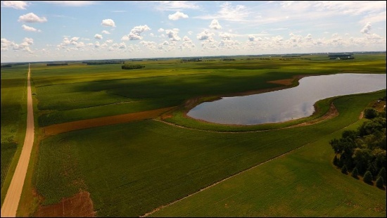 Approx 84.24 Acres Located in Section 31, Cerro Gordo Twp, Lac Qui Parle Co.