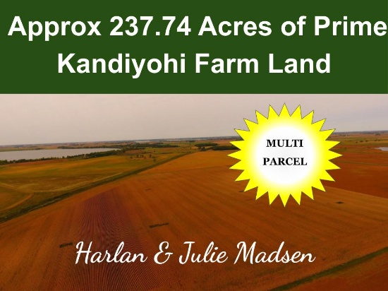 Approx 237.74 Acres of Prime Kandiyohi Farm Land