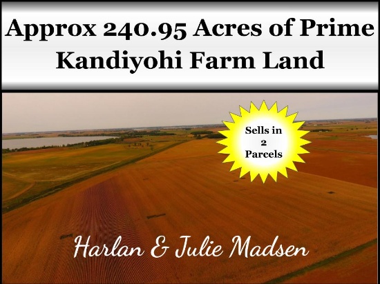 Approx 240 Acres of Prime Kandiyohi Farm Land