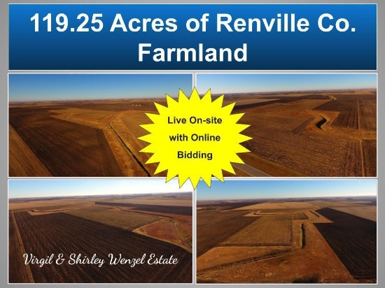 119.25 Acres of Renville Co. Farmland Located in Hector Twp