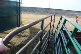 APPROX 12' NORTHWEST MFG, STEEL CATTLE GATE