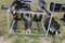 BRAND NEW QUICK TATCH HYD POST HOLE AUGER, 10