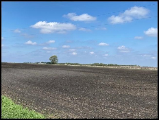 157.9 Acres Located in SE 1/4 of Section 8, Lake Lillian Twp, Twp-117-N, R-34-W, Kandiyohi Co.