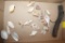 Cut Sea Shell Windchime