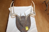 Deer Antlers, 10 Point on Wood Base