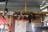 Horse Hangs, Raccoon Tails, Holsters, Water Spout Holder