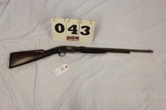 Remington .22 Cal Pump