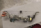 Compound Bow with Arrows