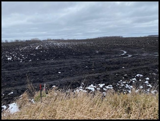 80.19 Acres Located in S 1/2 of the SW 1/4 of Section 21, Lake George Twp, Stearns Co.