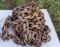 Log Chain