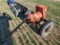 Pincor Model PTO-30-2 Pto Generator