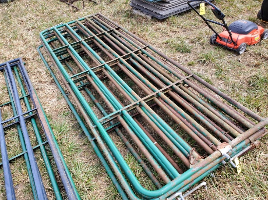 (5) 12' Cattle Gates