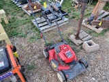 Troy Bilt 21