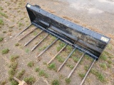 Cat 72