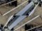 New 72” Skid Steer Tiller Attachment With Hoses And Flush Face Couplers