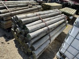 Approximately (60) 4”-5”  8’ Treated Posts