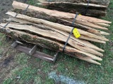 Bundle Of 10  7-1/2’ Locust Sharpened Posts