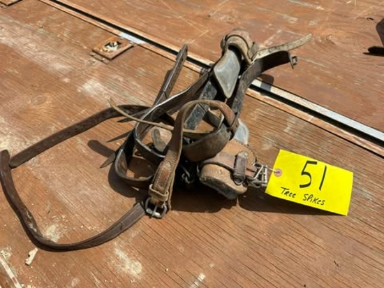 (4) Steel Tree Spikes