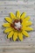 Borden Dairy Elise The Cow Single Sided Tin Diecut Metal Sign TAC 8.5