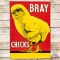 Bray Chicks Embossed SST Sign