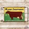 Milking Shorthorns 