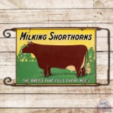 Milking Shorthorns 