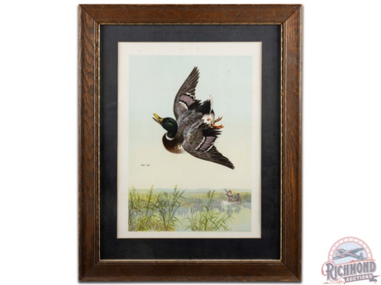 Framed Geo H. Walker & Co. Mallard Duck Hunting Print Turn Of The Century