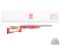 RARE! Ruger 10/22 USA Shooting Team Stainless .22 LR Semi-Auto Rifle in Original Box