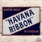Bayuk Bros. Havana Ribbon 5 Cent Cigars Double Sided Porcelain Flange Sign